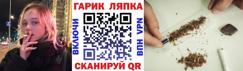 где купить наркотик  Жердевка  Гашиш индика сатива 