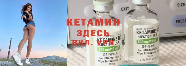 прущие грибы Абаза