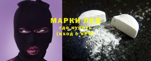 прущие грибы Абаза