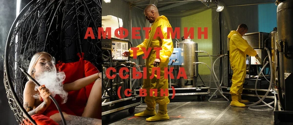 прущие грибы Абаза