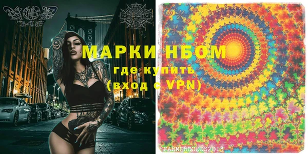 прущие грибы Абаза