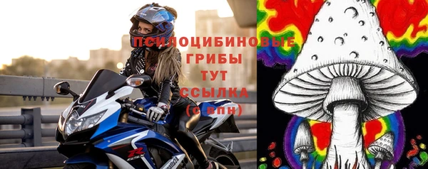 прущие грибы Абаза