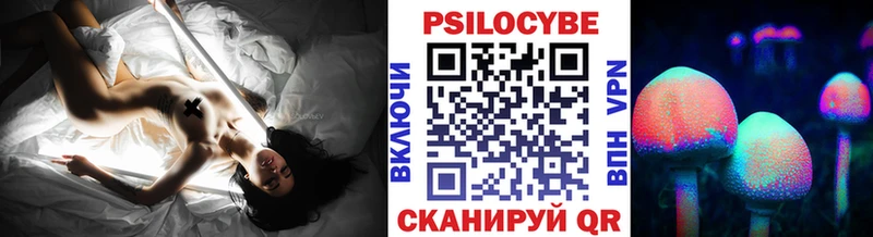 Псилоцибиновые грибы Cubensis  закладка  Жердевка 